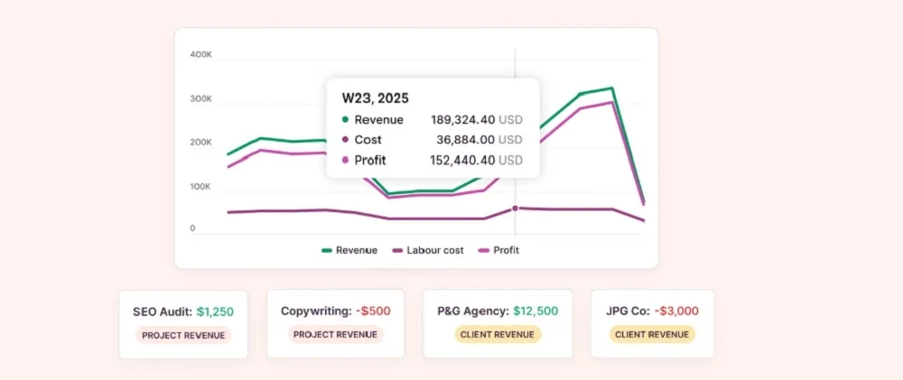 toggl track profitability